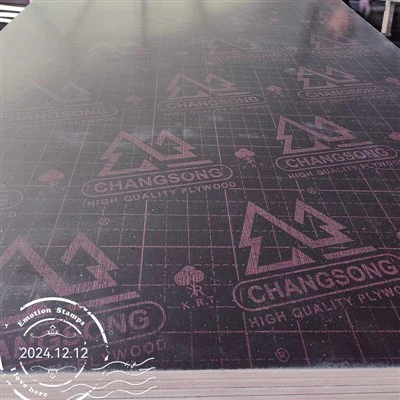 Merevineerifilm oli silmitsi